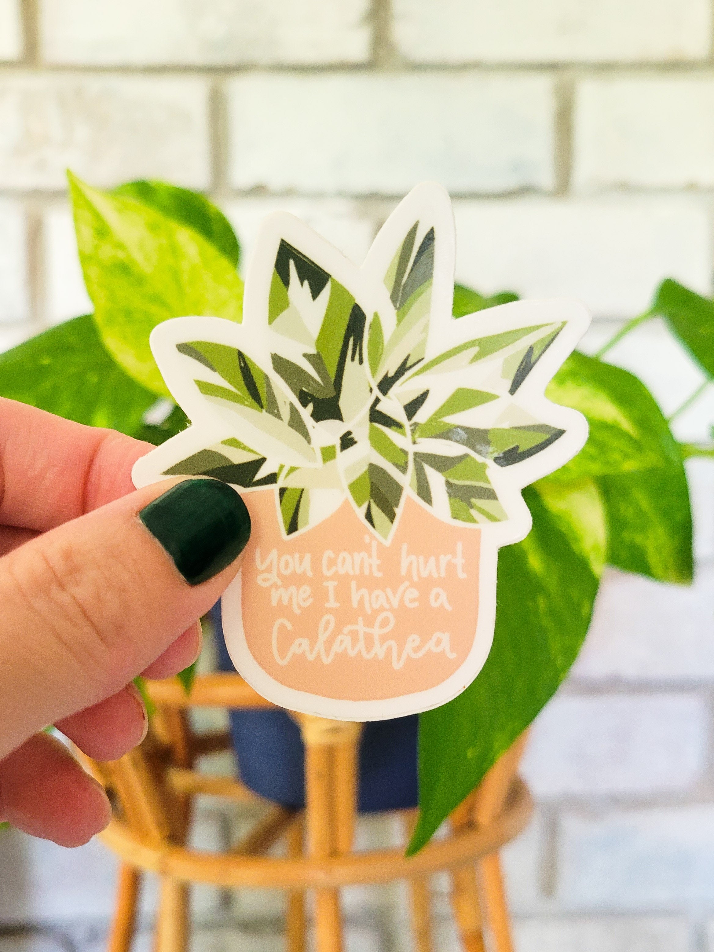 You Can’t Hurt me I Have a Calathea Sticker